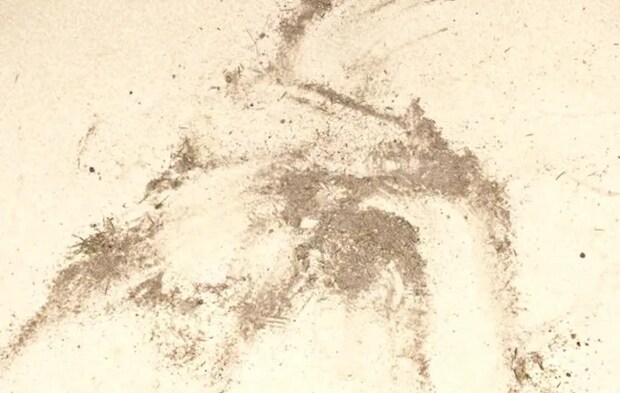 ホコリのある玄関の写真