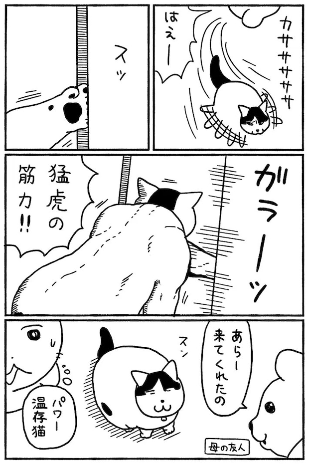 猫の日常を描いた漫画の写真