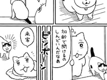 飼い主にワガママな猫　意外なギャップを感じる、客に見せる姿が？