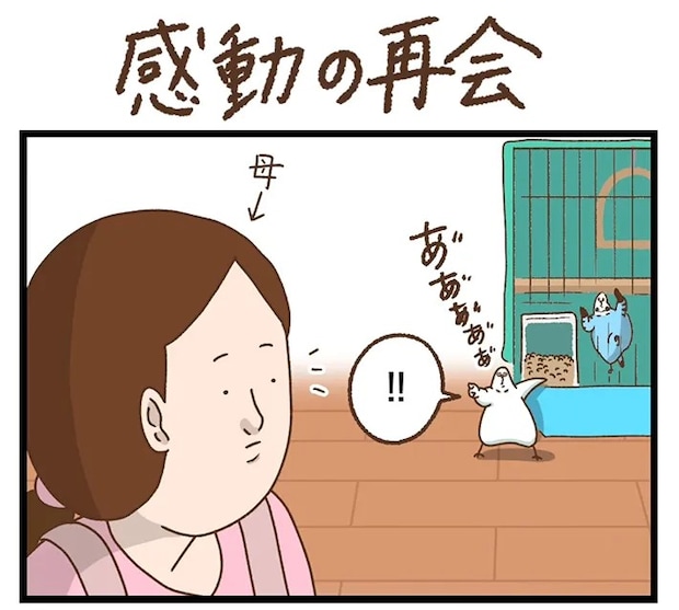 タクセニョリータさんの漫画の画像
