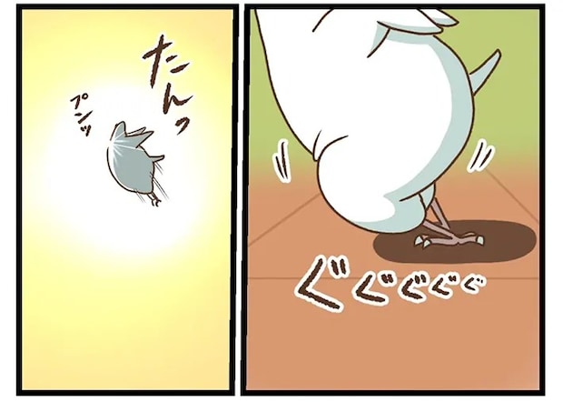 タクセニョリータさんの漫画の画像