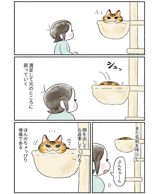 山麦まくらさんの漫画の画像