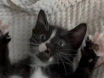 事故で入院した男性　バイク運転中の出来事に「涙が出たよ」「きみは選ばれた」