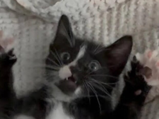 事故で入院した男性　バイク運転中の出来事に「涙が出たよ」「きみは選ばれた」