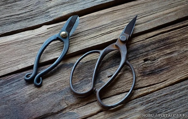 花ばさみの写真