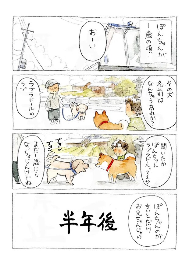 犬山スケッチさんの漫画の画像