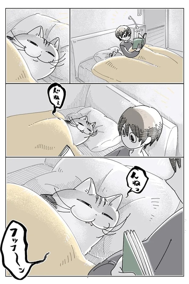 愛猫との日常を描いた漫画の写真