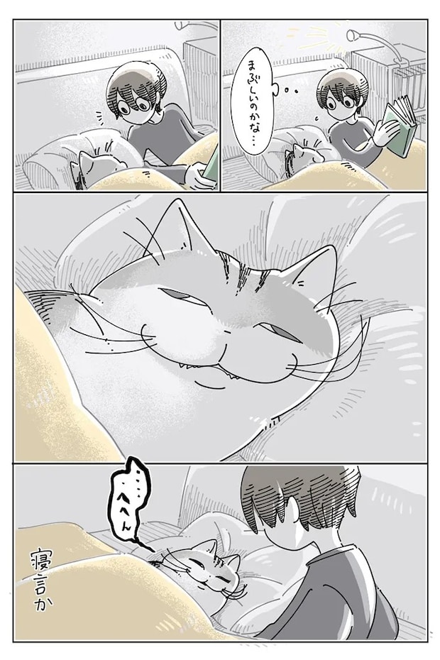 愛猫との日常を描いた漫画の写真
