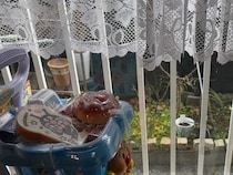 86歳母「お花より可愛か！」　代わりに購入したモノに娘が困惑「何一つ理解できん」