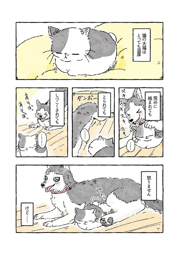 猫とシベリアンハスキーの暮らしを描いた漫画の写真