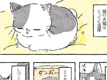 温厚な性格の猫　好物を取られそうになると…？「容赦ないな」
