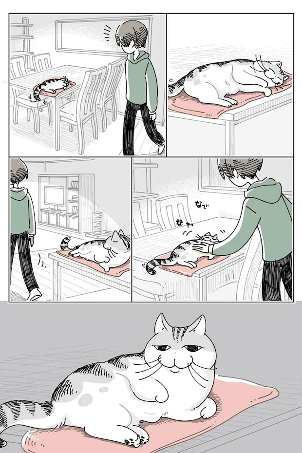 猫との日常を描いた漫画の写真