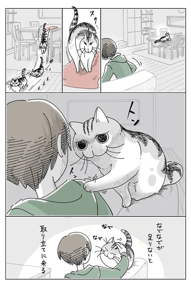 猫との日常を描いた漫画の写真