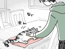 飼い主の『軽いなでなで』に、無言の要求！？　9万超の『いいね』を集めた猫漫画