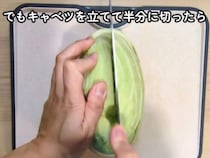 「キャベツは縦に切らないで」　上下半分にするメリットに「理にかなってる」