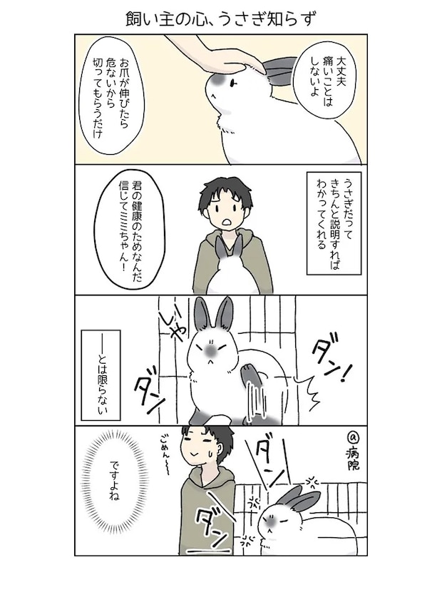 ウサギと飼い主の日常を描いた漫画の写真