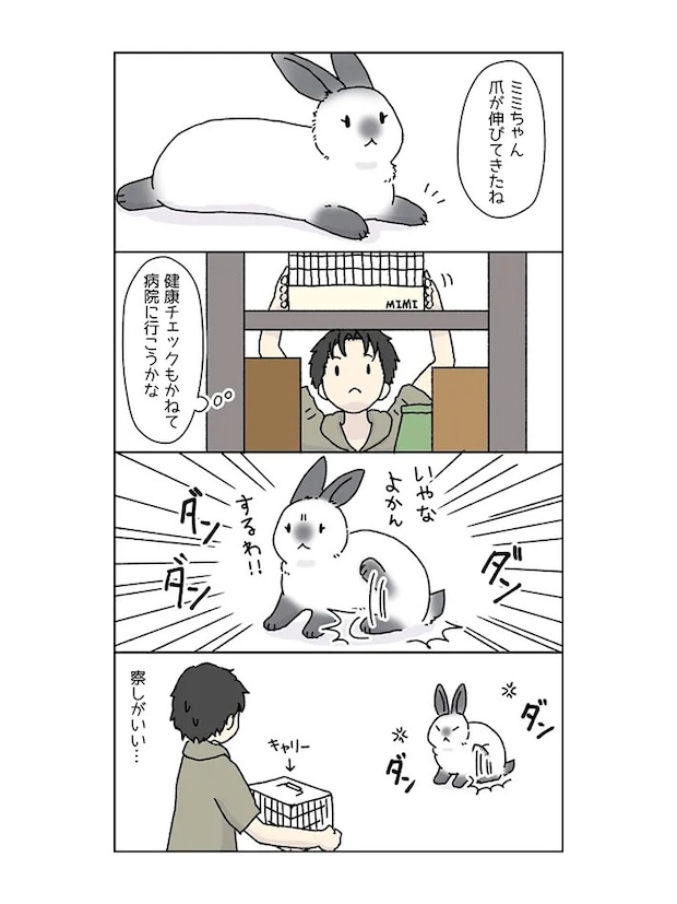 ウサギと飼い主の日常を描いた漫画の写真
