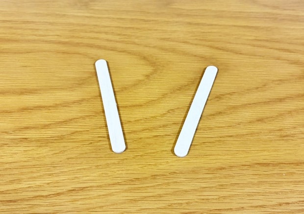 アイスの棒（撮影：grapeライフハック編集部）