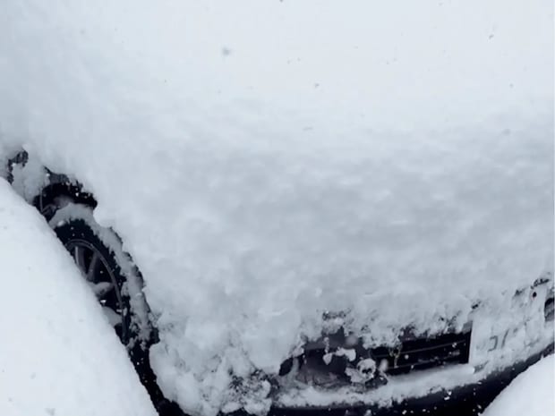 「雪でナンバーが隠れた」は違反になる？　元警察官に聞いた取り締まりの考え方