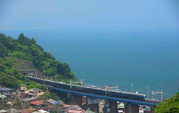 サフィール踊り子の写真