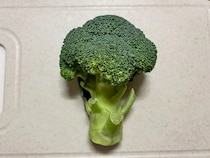 ブロッコリーは『色』で選ばない！　新鮮な選び方をプロに教えてもらった