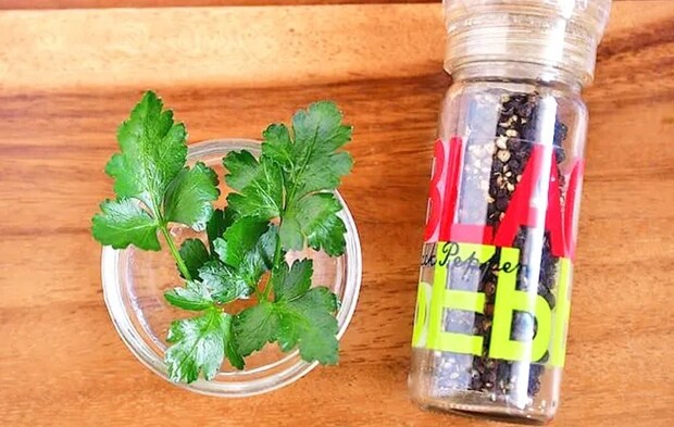 『黒コショウとパセリ』の写真（撮影：小泉明代）