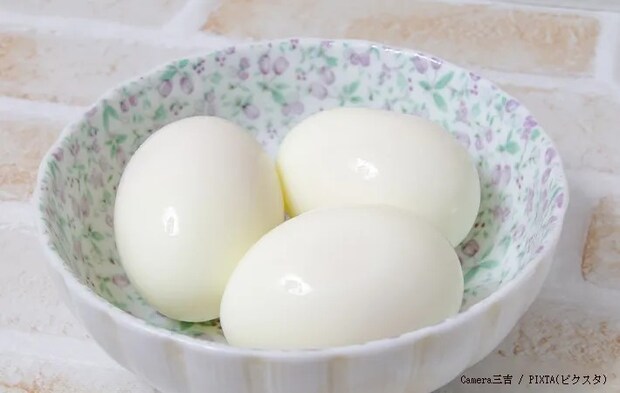 卵の写真