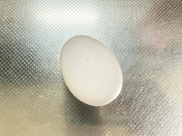 ゆで卵をつるんと剥く方法は？　日本卵業協会に「ボロボロにならないコツ」を聞いた