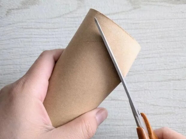 トイレットペーパーの芯は捨てないで！　意外な使い道に「驚いた」「正解だった」