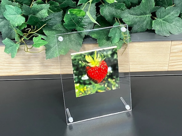 クリアフォトフレームにイチゴの写真を入れた場面（撮影：grapeライフハック編集部）
