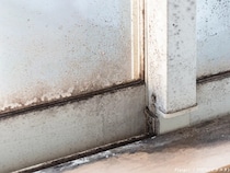 室温20度はカビにとっても適温！　専門家おすすめの窓の黒カビを防ぐ方法