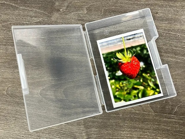 『はがき整理ケース』に写真を入れた状態（撮影：grapeライフハック編集部）