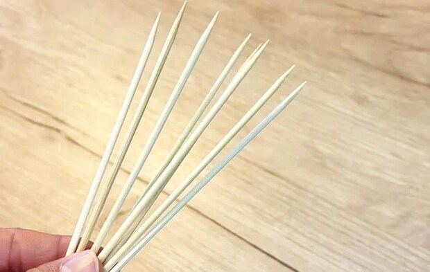 『焼き鳥の串』の写真（撮影：キジカク）