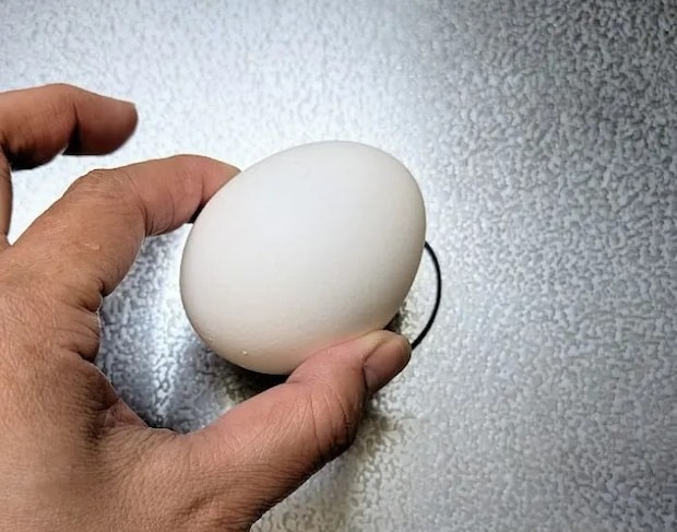 卵を置いた様子（撮影：grapeライフハック編集部）