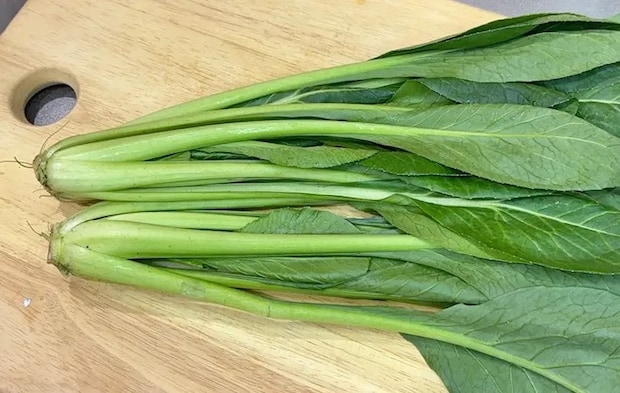 『小松菜』の写真（撮影：キジカク）