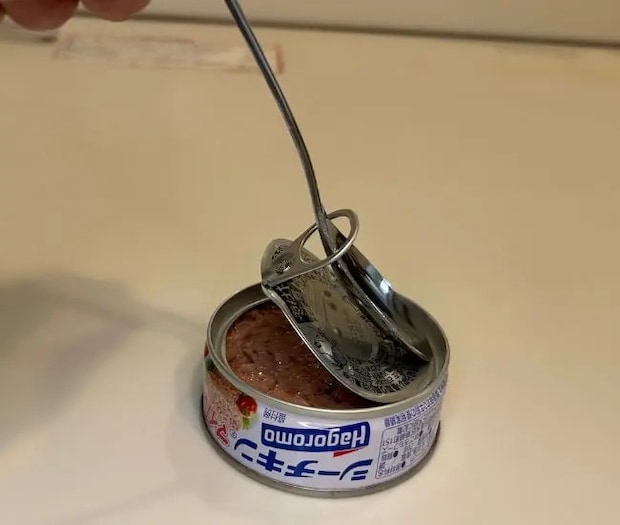 缶詰が開いた様子（撮影：grapeライフハック編集部）