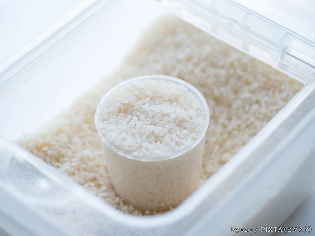 トウガラシを米びつに入れると？　本当に虫よけになるのか、米の販売店に聞いた