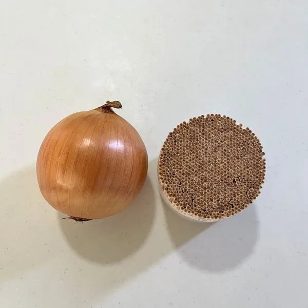 タマネギとつまようじ（撮影：grapeフード編集部）