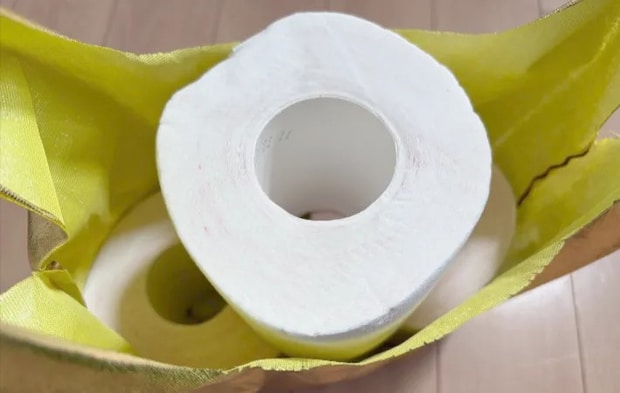 エコバッグにトイレットペーパーを収納した画像（撮影：エニママ）