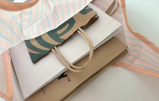 エコバッグに収納した紙袋（撮影：エニママ）