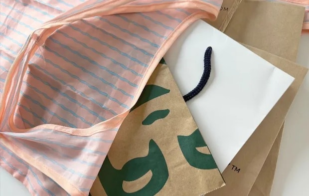 エコバッグに収納した紙袋（撮影：エニママ）