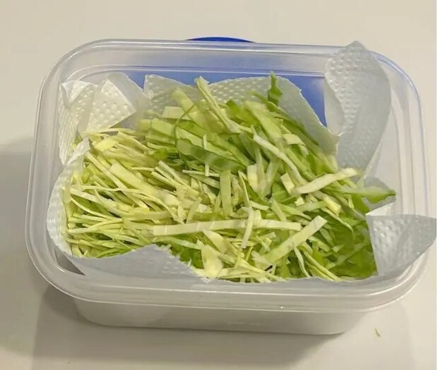 保存容器に入れたキャベツ（撮影：grapeフード編集部）