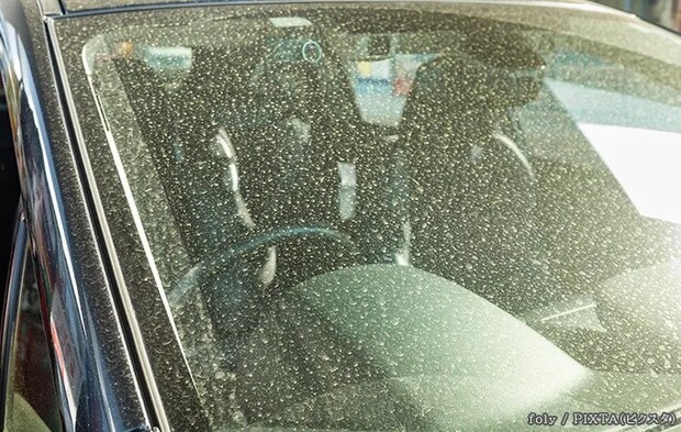 汚れた車の写真