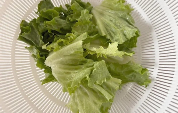 洗ったリーフレタスの画像（撮影：エニママ）
