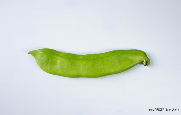ナタ豆の写真