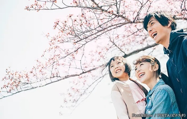 お花見をする家族の写真
