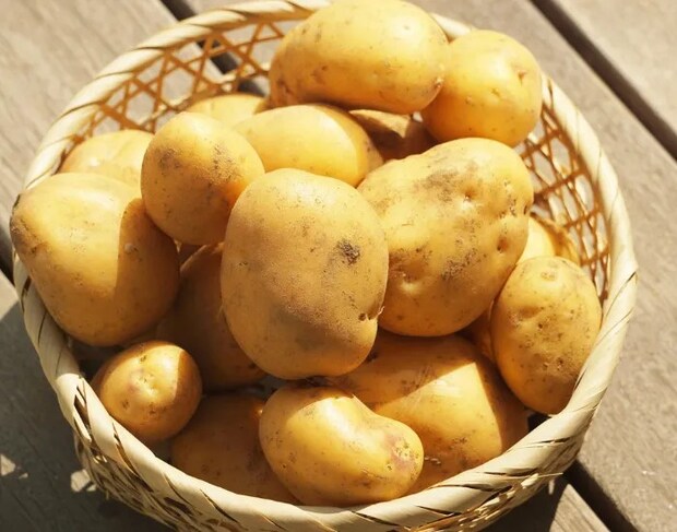 ザルに入った大量のジャガイモ