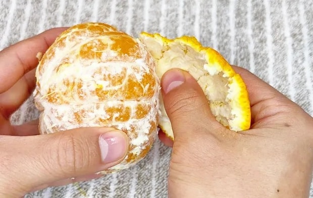 『食パンのバッククロージャーで皮剥きした』写真（撮影：キジカク）