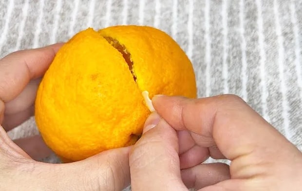 『食パンのバッククロージャーで皮剥きする』写真（撮影：キジカク）