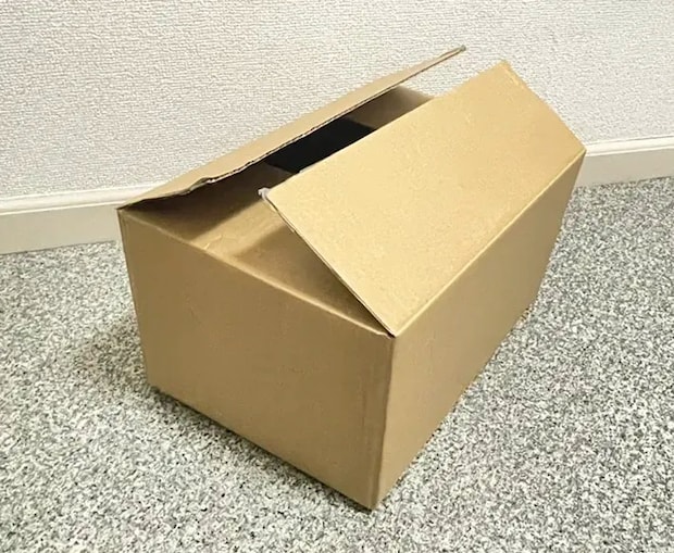 無地のダンボールの写真（撮影：grapeライフハック編集部）
